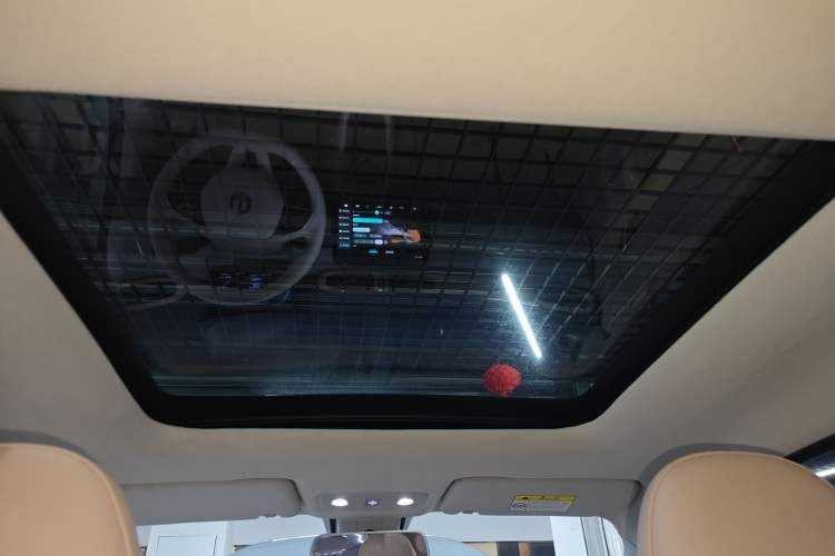 Used Leapmotor T03 2023 403 Smart Edition Headliner