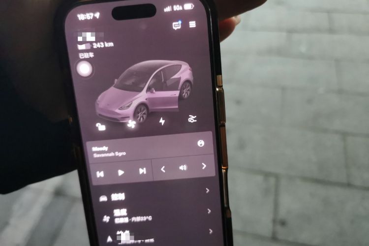 Used Tesla Model Y 2022 Revised Version Rear-Wheel Drive