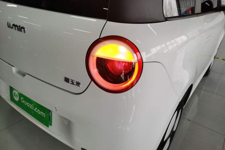 Used Qiyuan Lumin 2023 205km Xiangqin Version