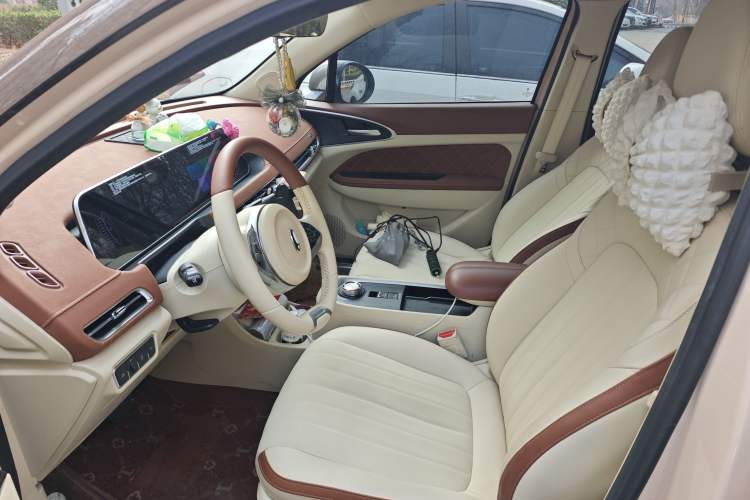 Used ORA Good Cat 2021 400km Standard Range Athena Edition Lithium-Ion Battery
