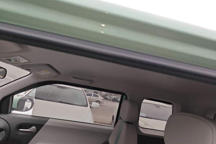 Used Qiyuan Lumin 2022 210km Sweet Edition