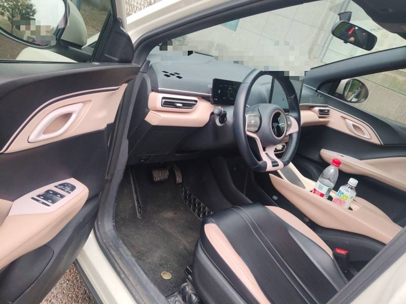 Used BYD Seagull 2023 Free Edition — 12