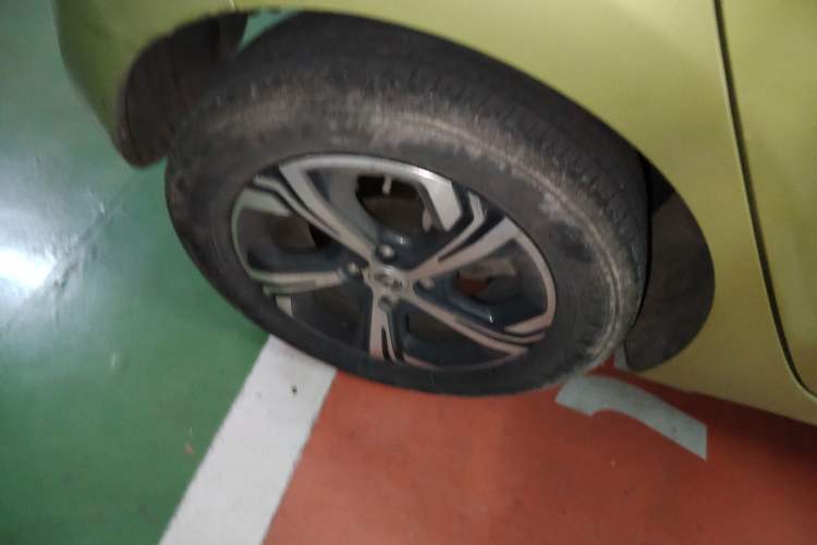 Used CHANGAN OSHAN Benni E-Star 2020 Heartbeat Edition NMC Lithium Exterior 8