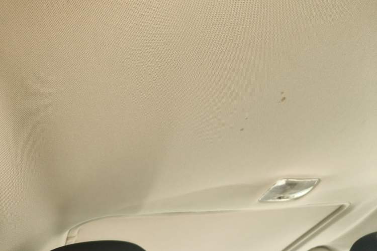 Used BYD Qin New Energy 2017 1.5T Luxury Model Headliner