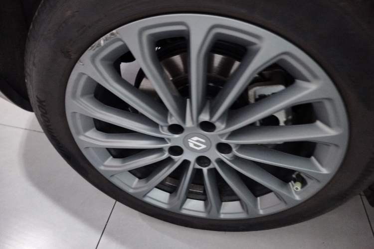 Used Leapmotor C11 2024 All-Electric 580 Luxury Edition Exterior 5