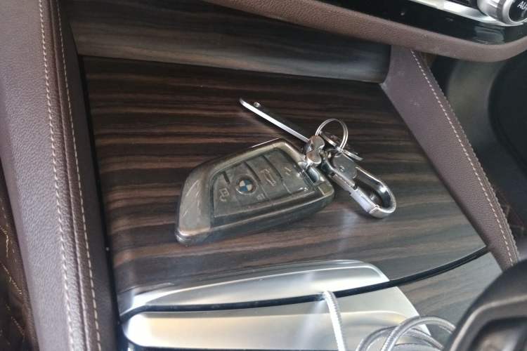 Used BMW 5 Series 2020 530Li Leading Edition Luxury Package