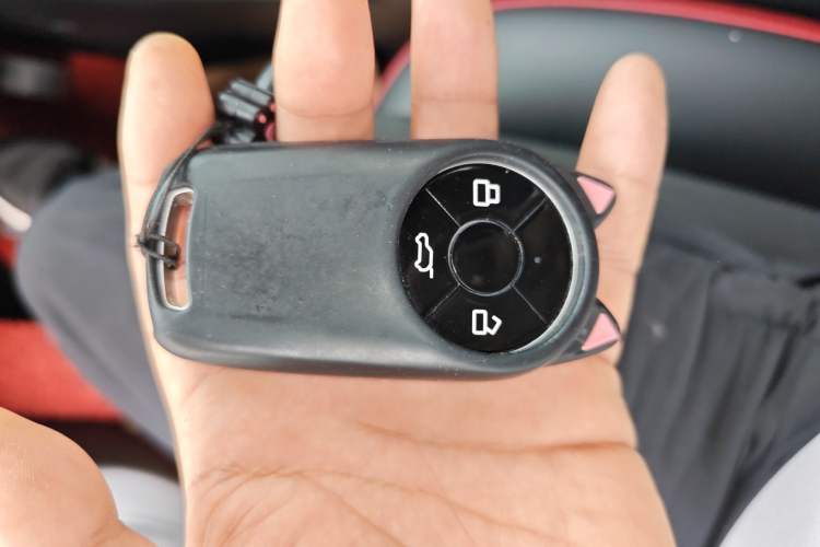 Used ORA Good Cat GT 2022 Mulan Edition 480km Long-Range续航
