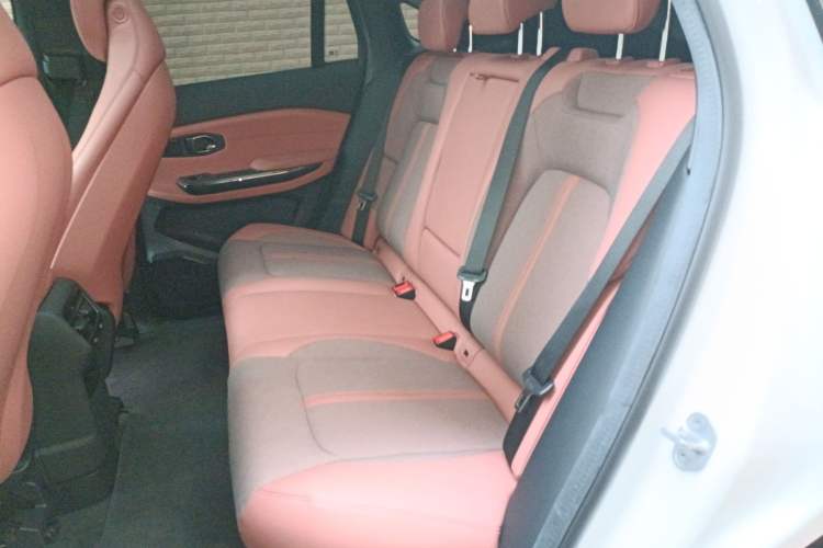 Used Nio EC6 2020 440 km Performance Version
