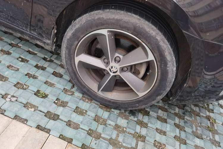 Used Skoda Octavia 2016 1.6L Manual Trend Edition
