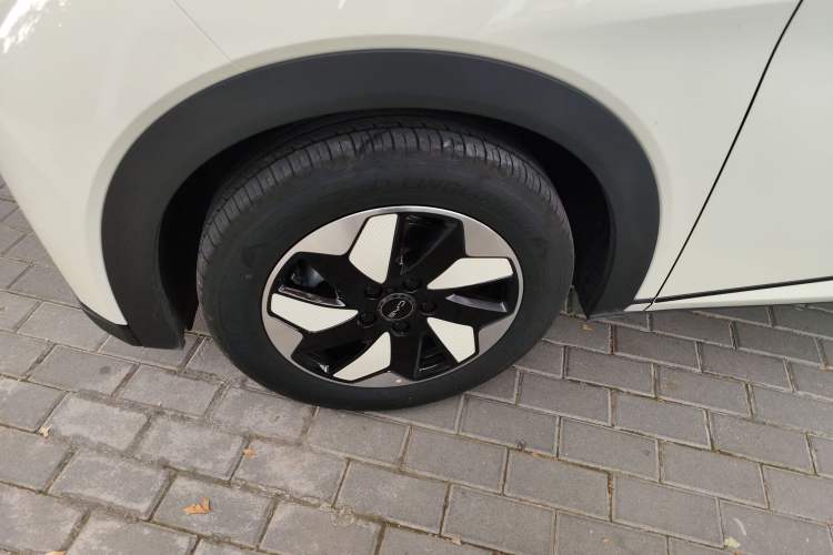 Used BYD Dolphin 2025 420km Free Edition
