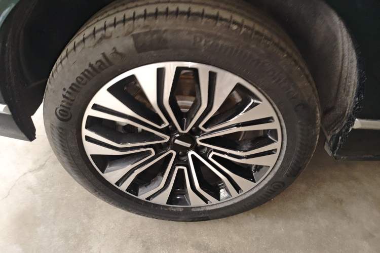 Used Wey Lanshan 2023 Four-Wheel Drive Ultra-Long Range Version Exterior 3