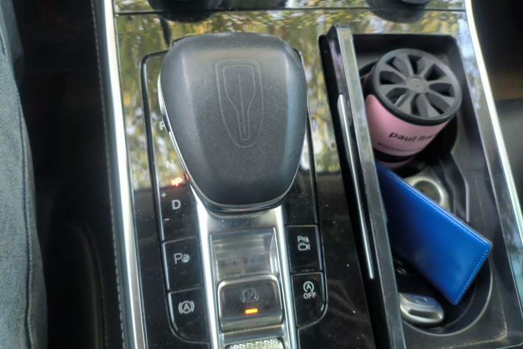 Used Hongqi H9 2020 2.0T Smart Connect Flagship Edition