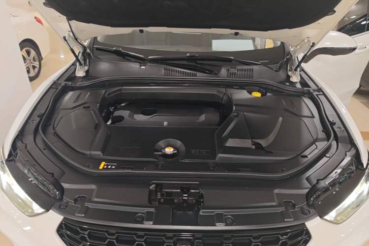 Used Wey VV5 2019 2.0T Two-Wheel-Drive Ultimate Edition