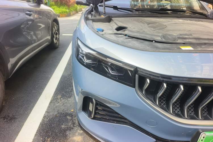 Used VOYAH FREE 2021 Four-Wheel Drive Standard Range-Extended Exclusive Luxury Package
