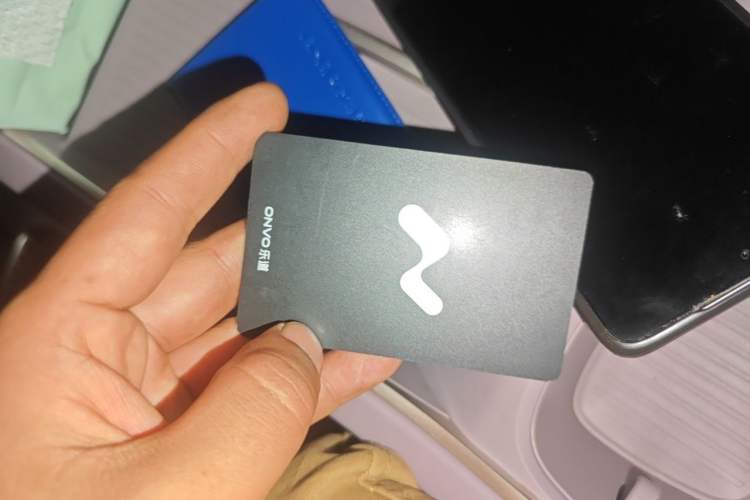 Used ONVO L60 2024 60 kWh Rear-Drive Version