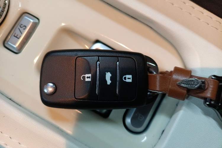 Used Qiyuan Lumin 2023 205km Xiangqin Version
