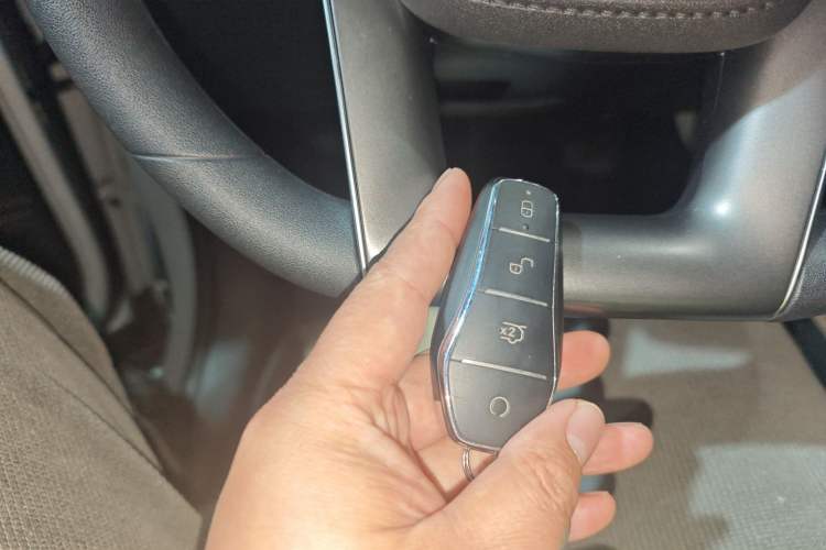 Used BYD Yuan UP 2024 401KM Leading Edition