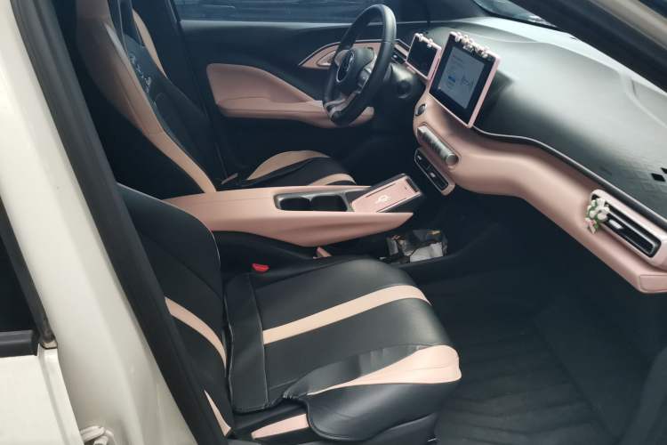 Used BYD Seagull 2023 Free Edition Right Front Seat