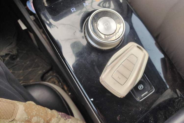 Used Geometry E Firefly 2023 401KM Linglong Tiger 5-Seater
