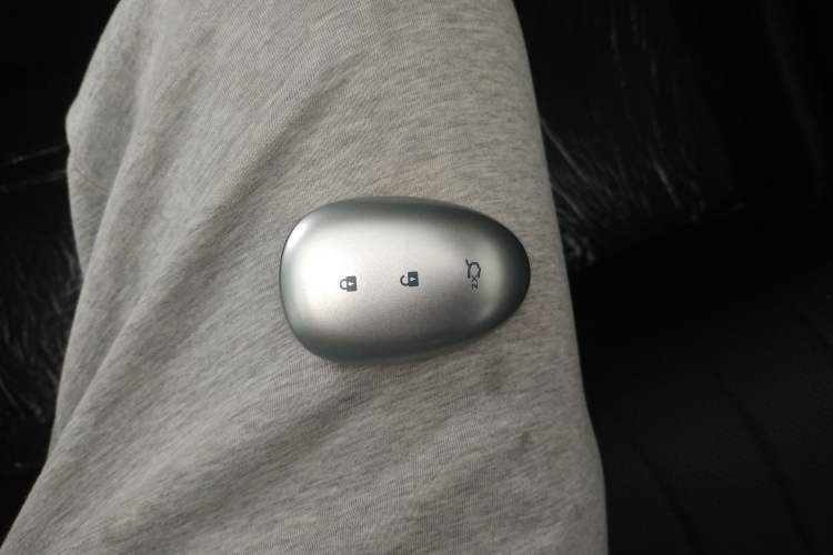 Used Qiyuan Q07 2025 215 Flagship Edition
