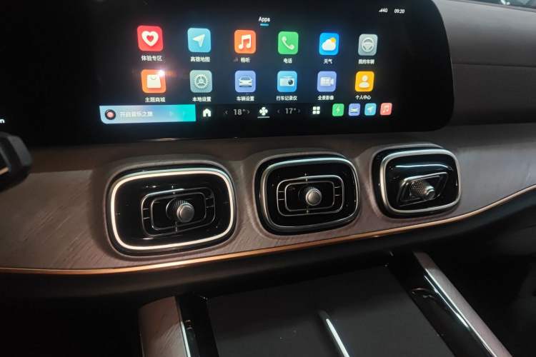 Used Chery Fengyun T10 2024 210 Luxury Edition