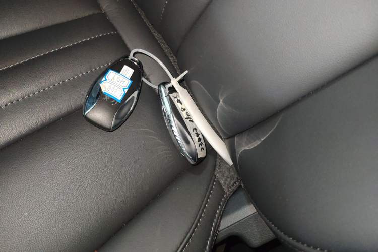 Used Hongqi HQ9 PHEV 2024 2.0T Four-Wheel Drive Business Edition Vehicle Key