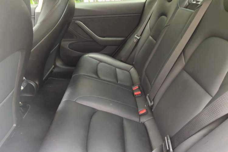 Used Tesla Model 3 2019 Long-Range All-Wheel-Drive Version Left Rear Seat