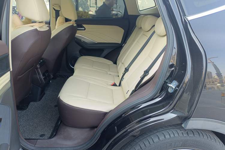 Used Wey VV6 2018 2.0T Two-Wheel-Drive Ultra-Luxury Version China V Standard