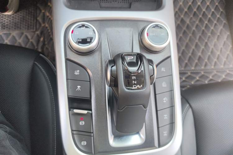 Used Tank 300 2024 2.0T Conqueror