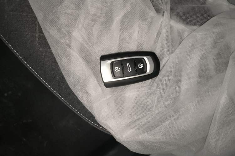 Used Geely Galaxy Panda 2024 Panda Mini 200km Endurance Bear Vehicle Key