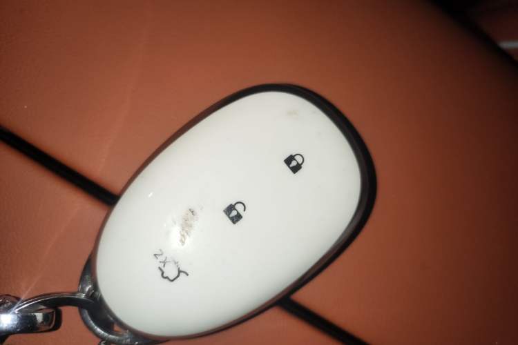 Used Qiyuan Q07 2025 215 Prestige Edition