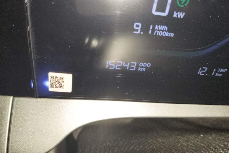 Used Geely Galaxy Geome 2025 310km Youth Edition Odometer Close Up