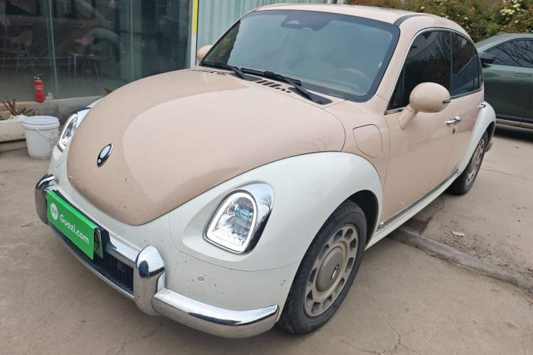 Used ORA Ballet Cat 2023 401 km Luxury Version