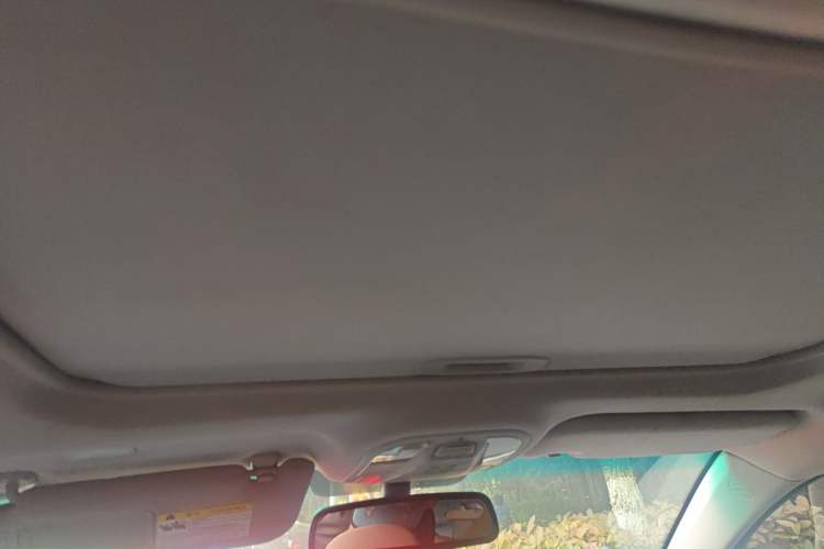 Used BYD Qin New Energy 2015 1.5T Dual-Crown Flagship Plus Edition Headliner