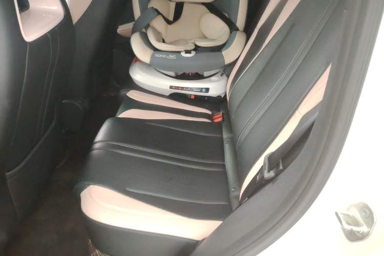 Used BYD Seagull 2025 305 km Free Version Left Rear Seat