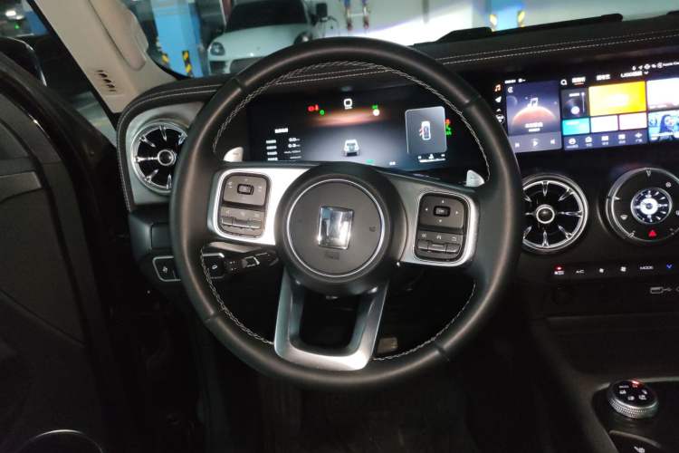 Used Tank 300 2024 2.0T Crosser
