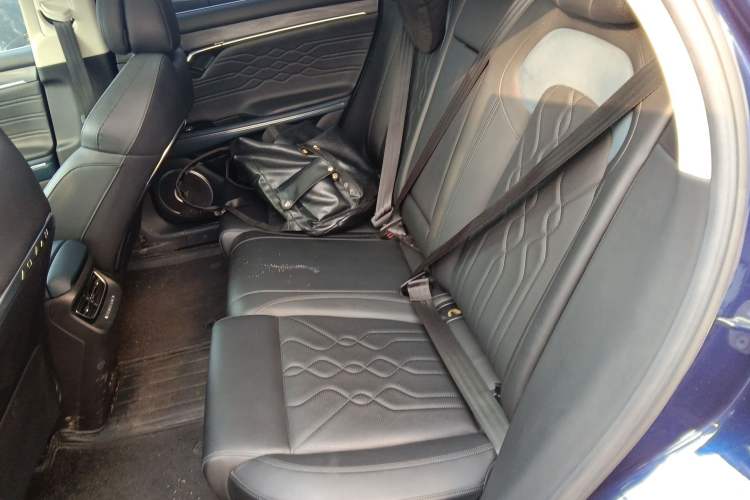 Used VOYAH FREE 2021 Four-Wheel Drive Standard Range-Extended Exclusive Luxury Package Left Rear Seat