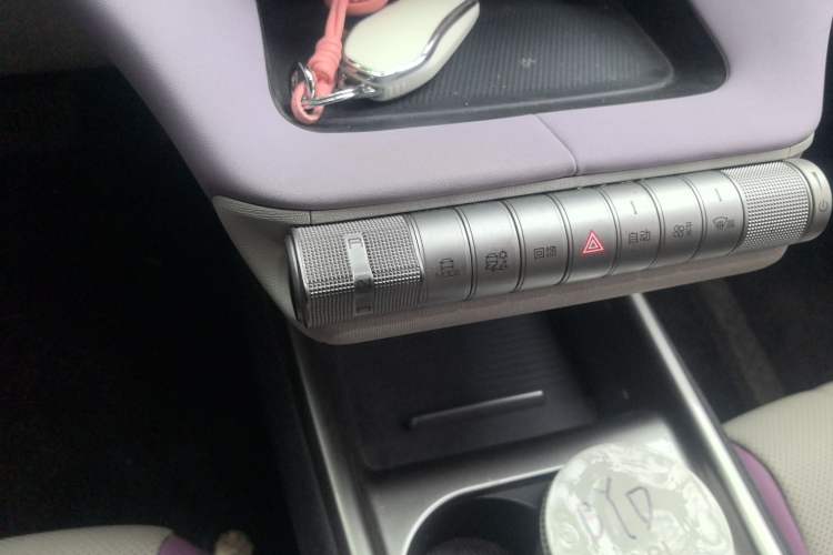 Used BYD Dolphin 2023 420 km Free Version Gear Lever