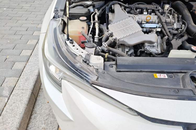 Used Toyota Levin 2019 185T CVT Luxury Edition China VI Standard