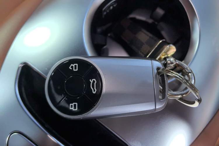 Used ORA Lightning Cat 2022 555 km Luxury Edition
