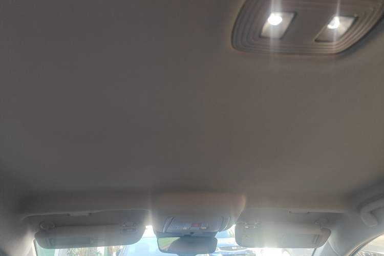 Used BYD Qin Pro New Energy 2018 EV500 Developer Edition Professional Model Headliner