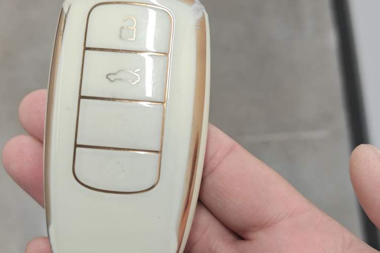 Used Chery Tiggo 9 2023 2.0T Dual-Clutch Two-Wheel Drive Luxury Edition 7 Seats Vehicle Key