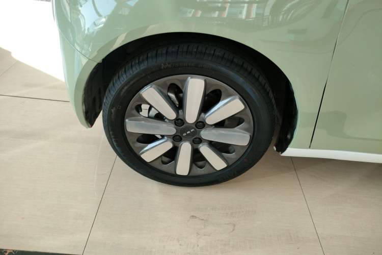 Used ORA Black Cat 2021 351 km Luxury Version Left Front Wheel Hub