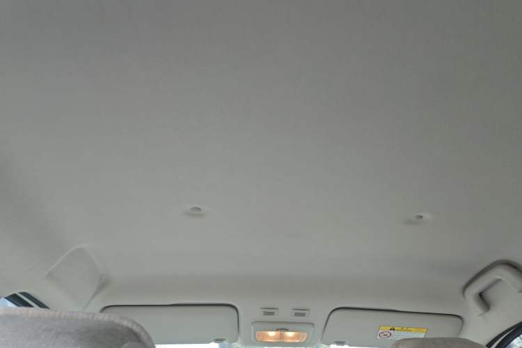 Used ORA Black Cat 2019 301km Standard Edition Headliner