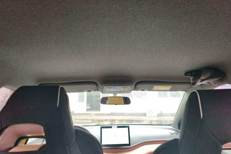 Used BYD Seagull 2023 Flying Edition Headliner