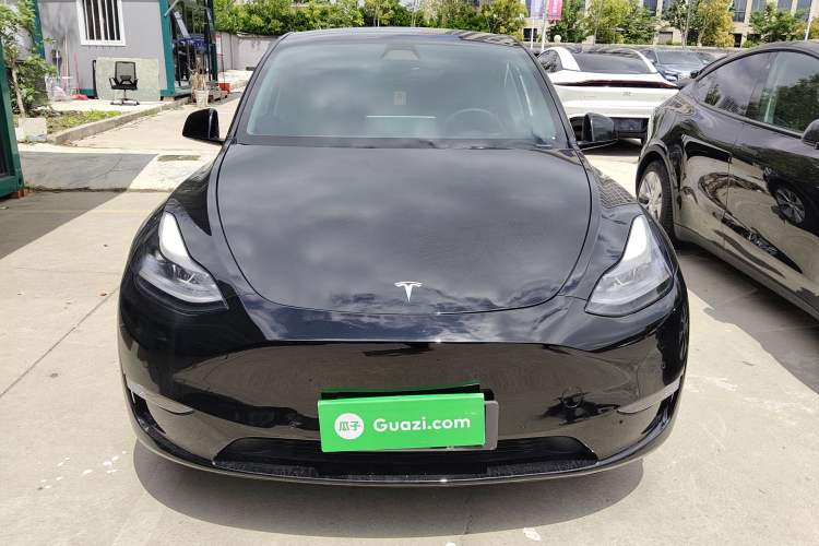 Used Tesla Model Y 2021 Standard Range Rear-Wheel Drive Version
