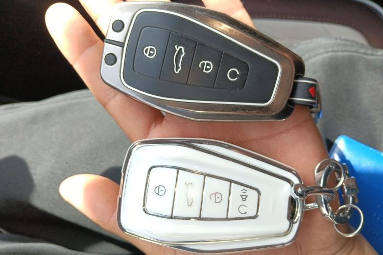 Used Geely Auto Monjaro L 2021 2.0TD DCT EVO Two-Wheel Drive Prestige Version