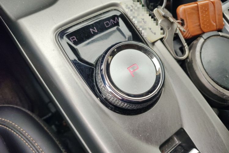 Used Haval DARGO 2024 2.0T DCT Chinese Rural Dog Edition