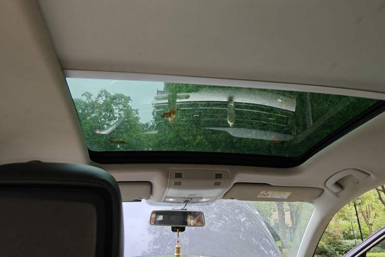 Used Volkswagen Magotan 2018 330TSI DSG Advanced Model Headliner