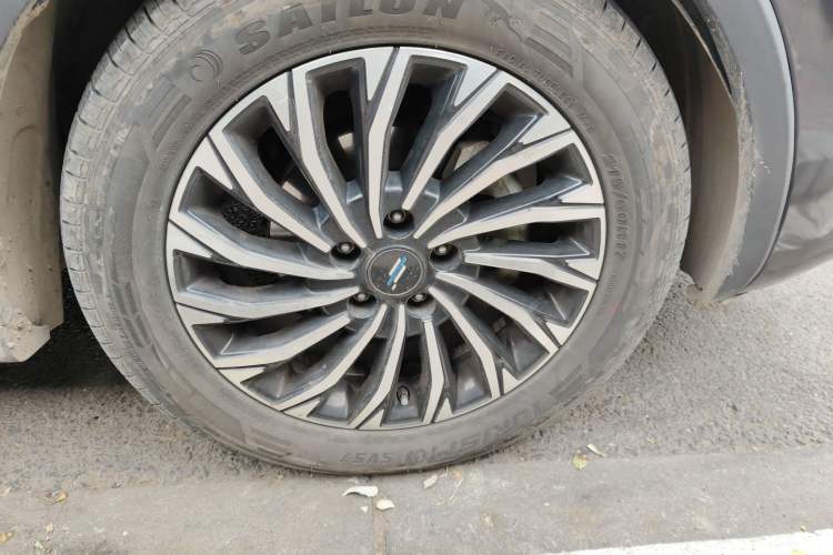 Used Oshan Cosmos 2019 1.5T Automatic Elite Version China VI Standard
